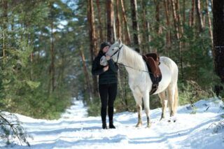 Rutas a caballo en Rovaniemi