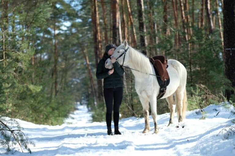Rutas a caballo en Rovaniemi