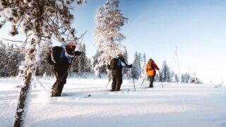 Planes de esquí en Rovaniemi