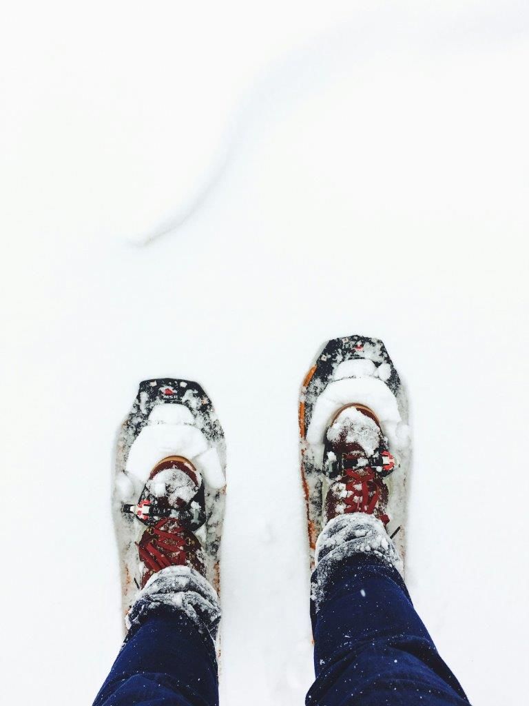Excursión con raquetas de nieve en Rovaniemi y Laponia