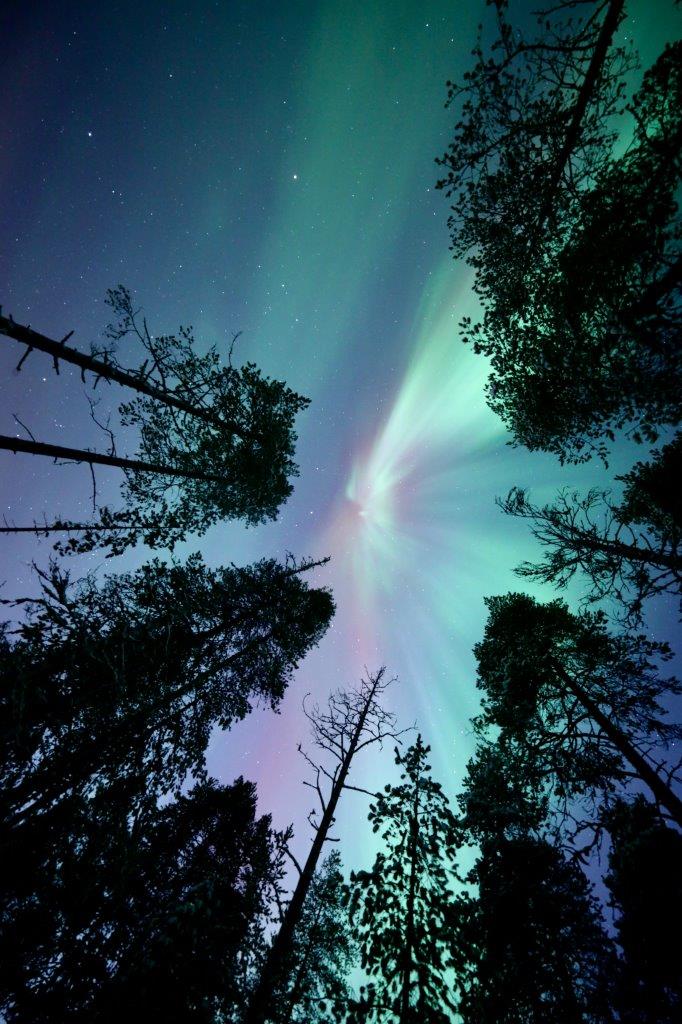 Aurora boreal sobre Rovaniemi, cielo polar con luces verdes y nieve
