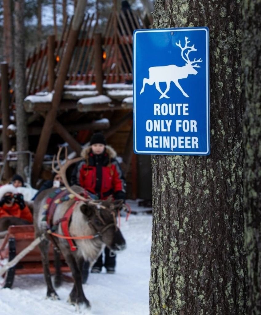 Paisaje invernal de Rovaniemi con nieve y bosques