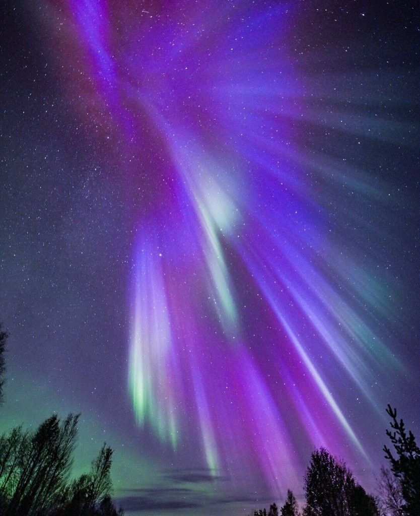 Aurora boreal sobre Rovaniemi con nieve y cielo polar oscuro, escena de observación