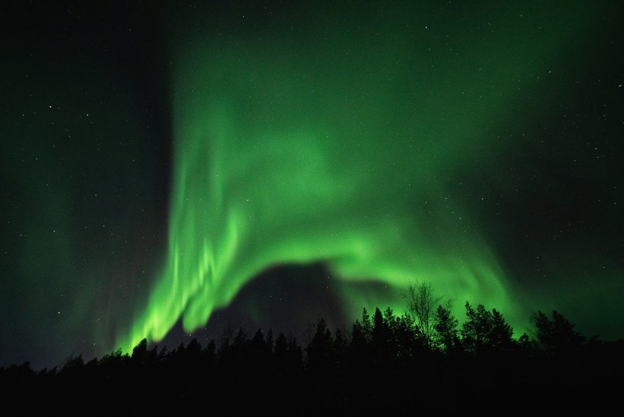 Aurora boreal sobre un bosque nevado en Rovaniemi, cielo polar con luces verdes