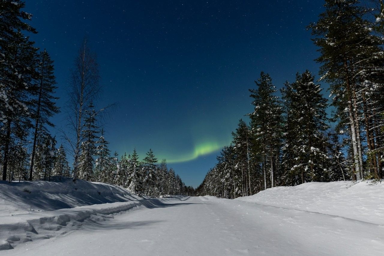 Aurora boreal en Rovaniemi con cortinas de luz sobre el cielo nocturno en Laponia