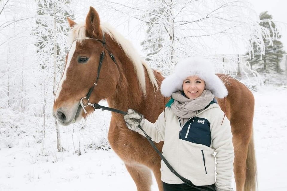Caballos en la nieve de Rovaniemi