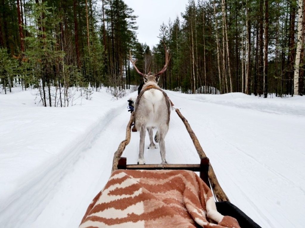Souvenirs y artesanía con temática de renos en Rovaniemi