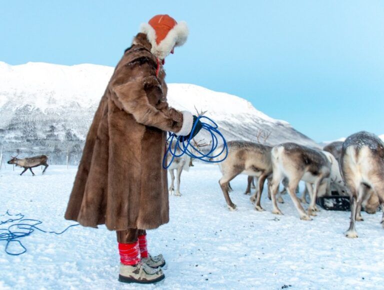 Conocer la cultura Sami en un viaje a Rovaniemi