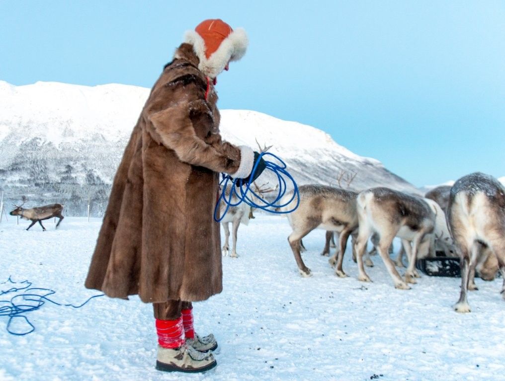 Conocer la cultura Sami en un viaje a Rovaniemi